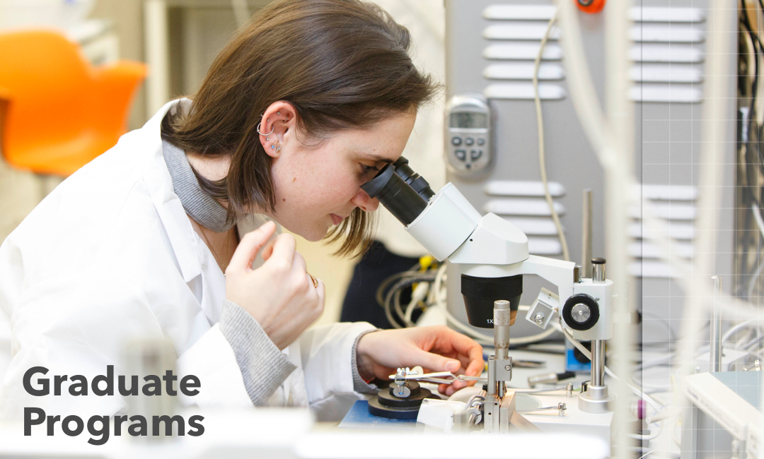 Academics | Department of Biomedical Engineering | School of ...