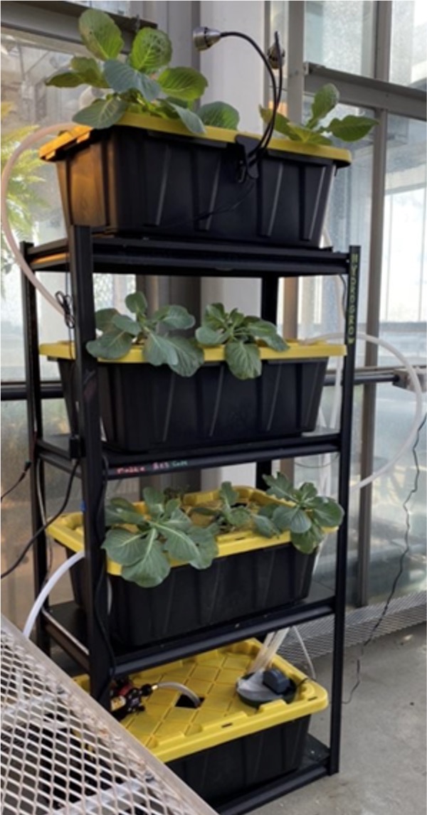 HydroGrow project