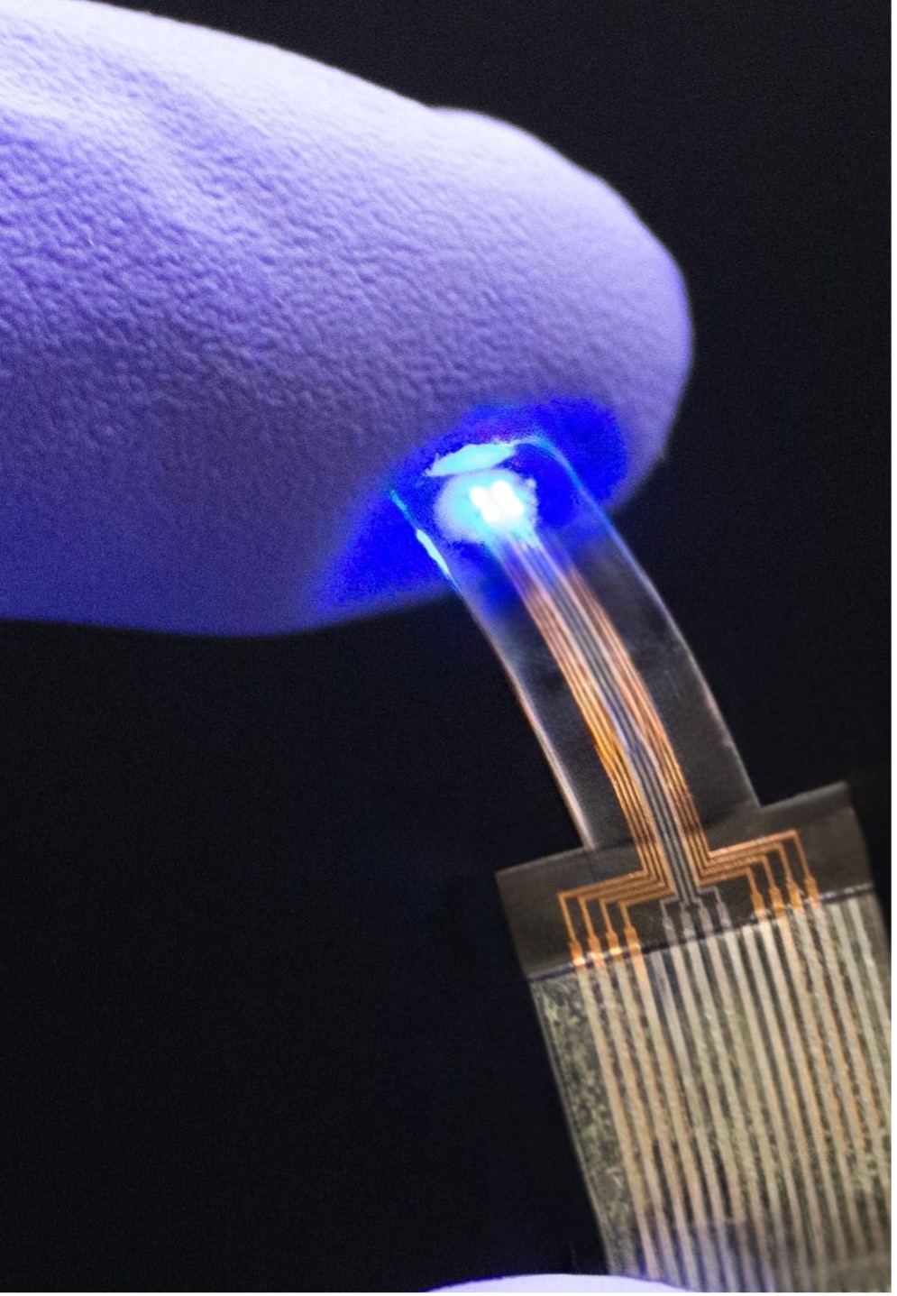 Heart-mapping device developed by Lu
