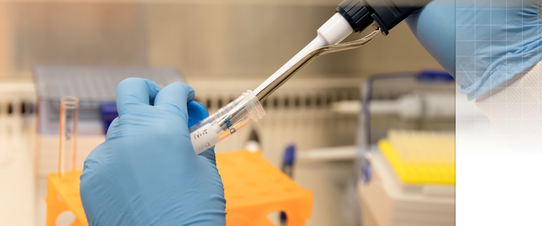 close-up of pipetting into test tube