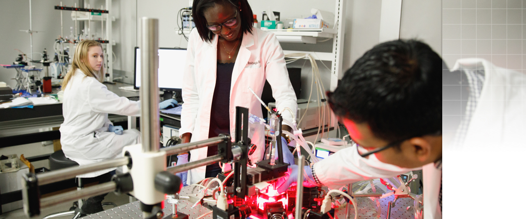 group of students working in a lab